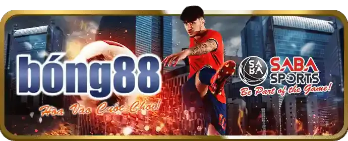 Đá Gà Trực Tiếp